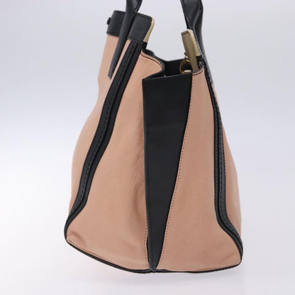 Chloé Pink Leather Alison