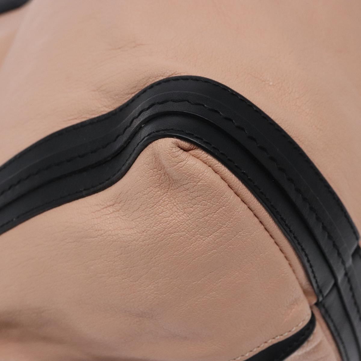 Chloé Pink Leather Alison