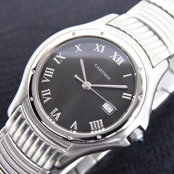Cartier Black Steel Pasha C