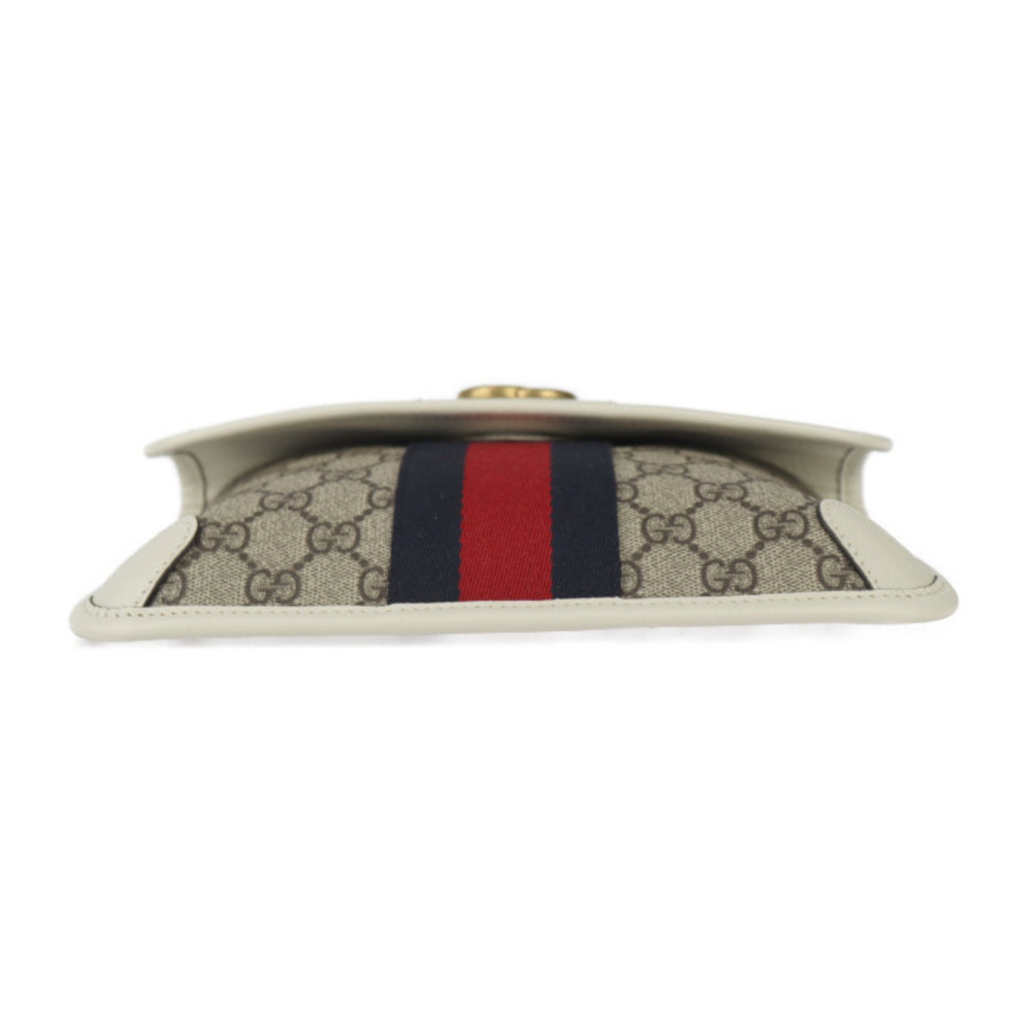 Gucci Brown Canvas Ophidia