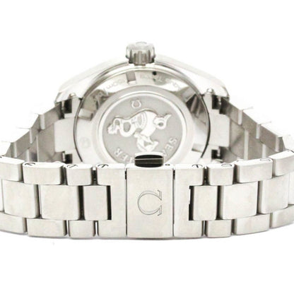Omega Silver Steel Seamaster Aquaterra