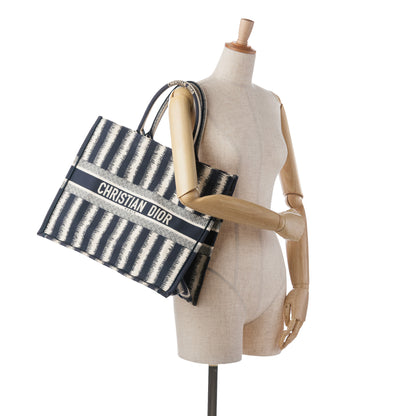 Dior Large Striped Book Tote