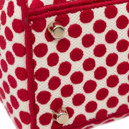 Dior Medium Embroidered Canvas Dioramour Dots Lady D Lite