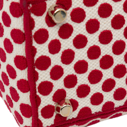 Dior Medium Embroidered Canvas Dioramour Dots Lady D Lite
