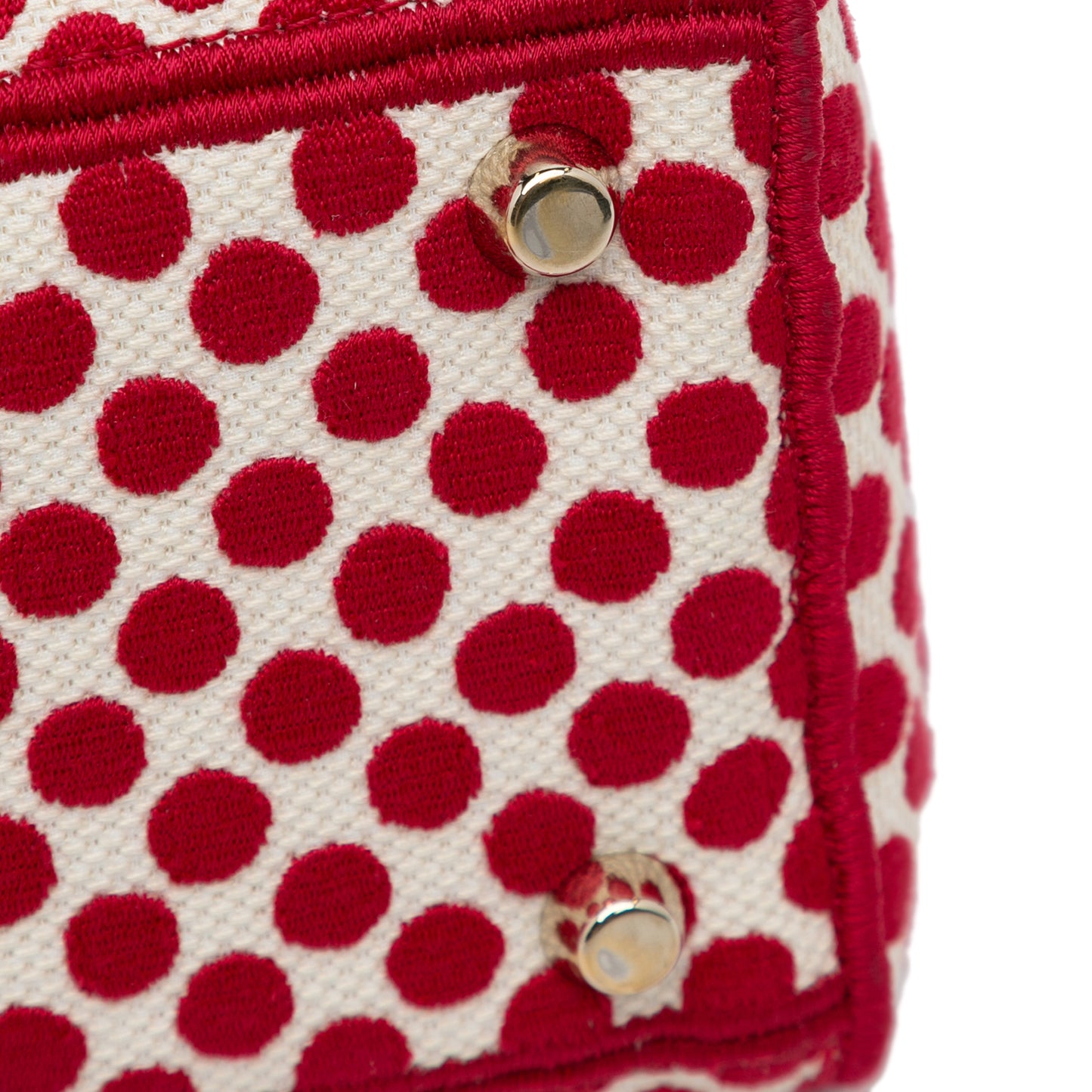 Dior Medium Embroidered Canvas Dioramour Dots Lady D Lite