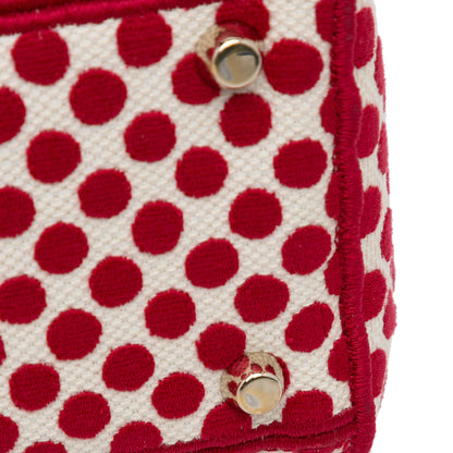 Dior Medium Embroidered Canvas Dioramour Dots Lady D Lite