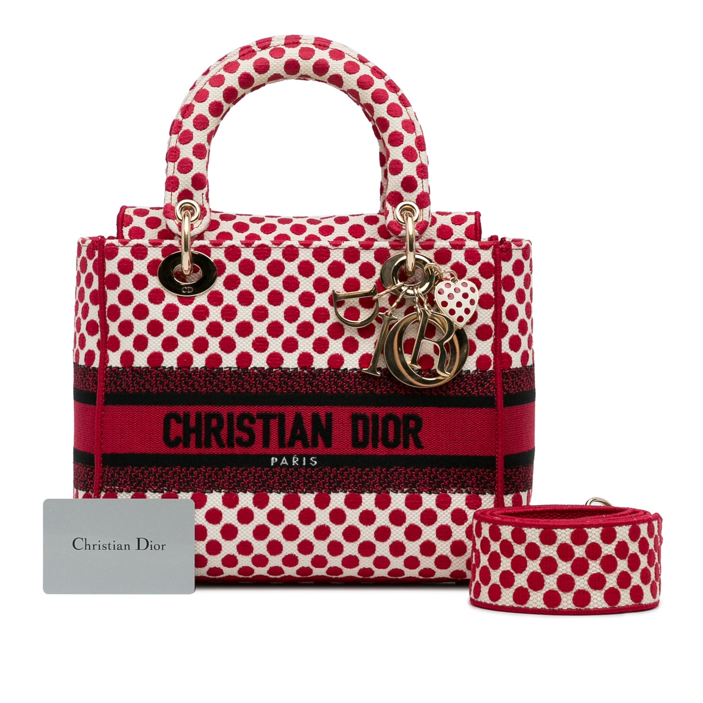 Dior Medium Embroidered Canvas Dioramour Dots Lady D Lite