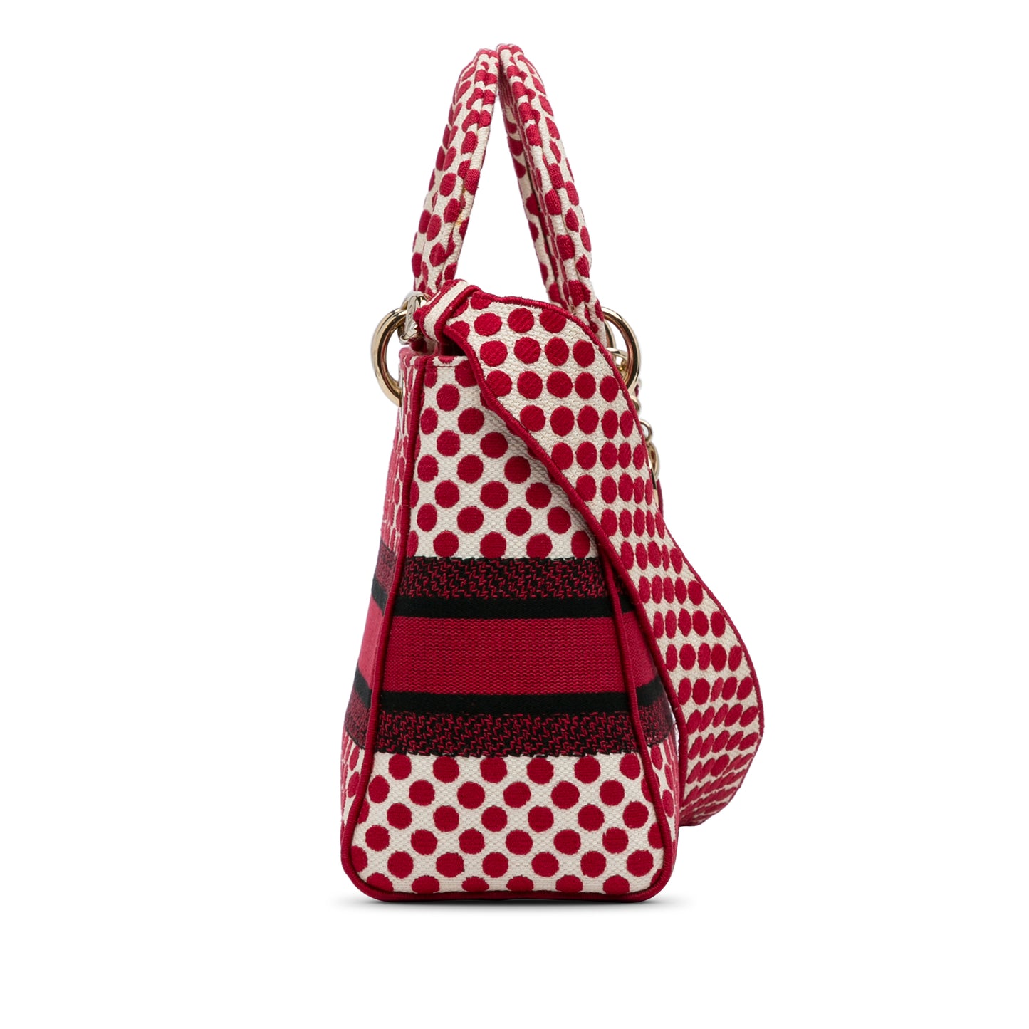 Dior Medium Embroidered Canvas Dioramour Dots Lady D Lite