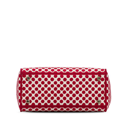 Dior Medium Embroidered Canvas Dioramour Dots Lady D Lite