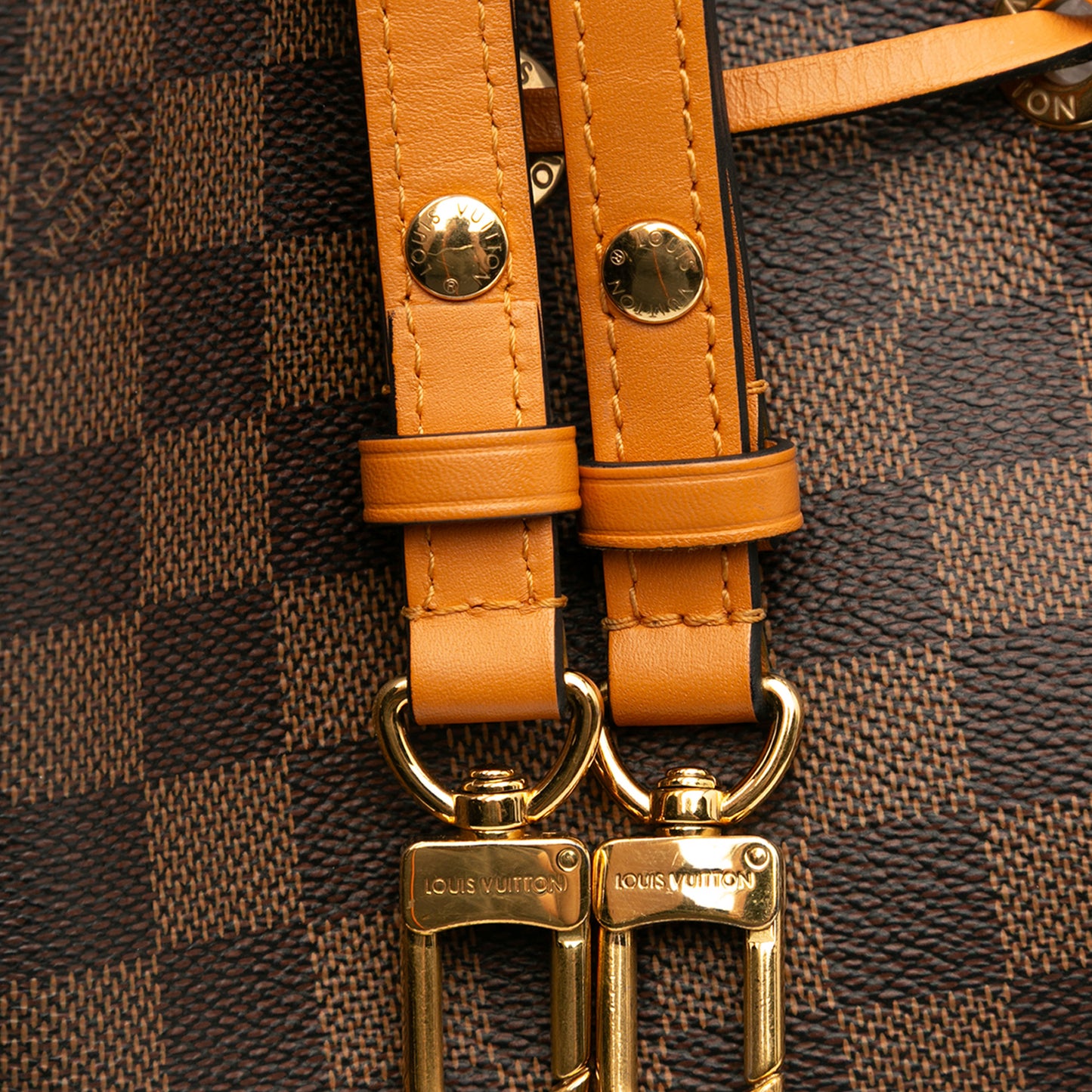 Louis Vuitton Damier Ebene Neonoe Mm