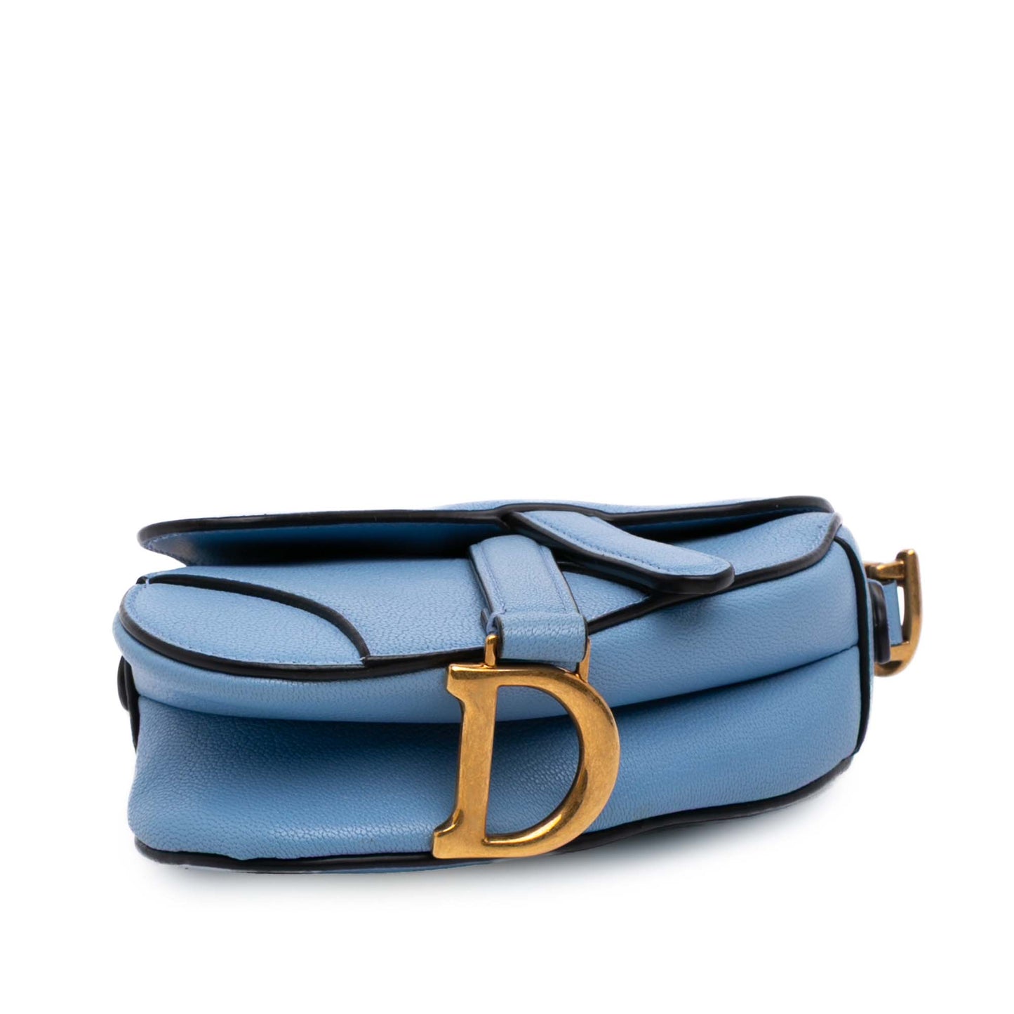 Dior Micro Goatskin Saddle