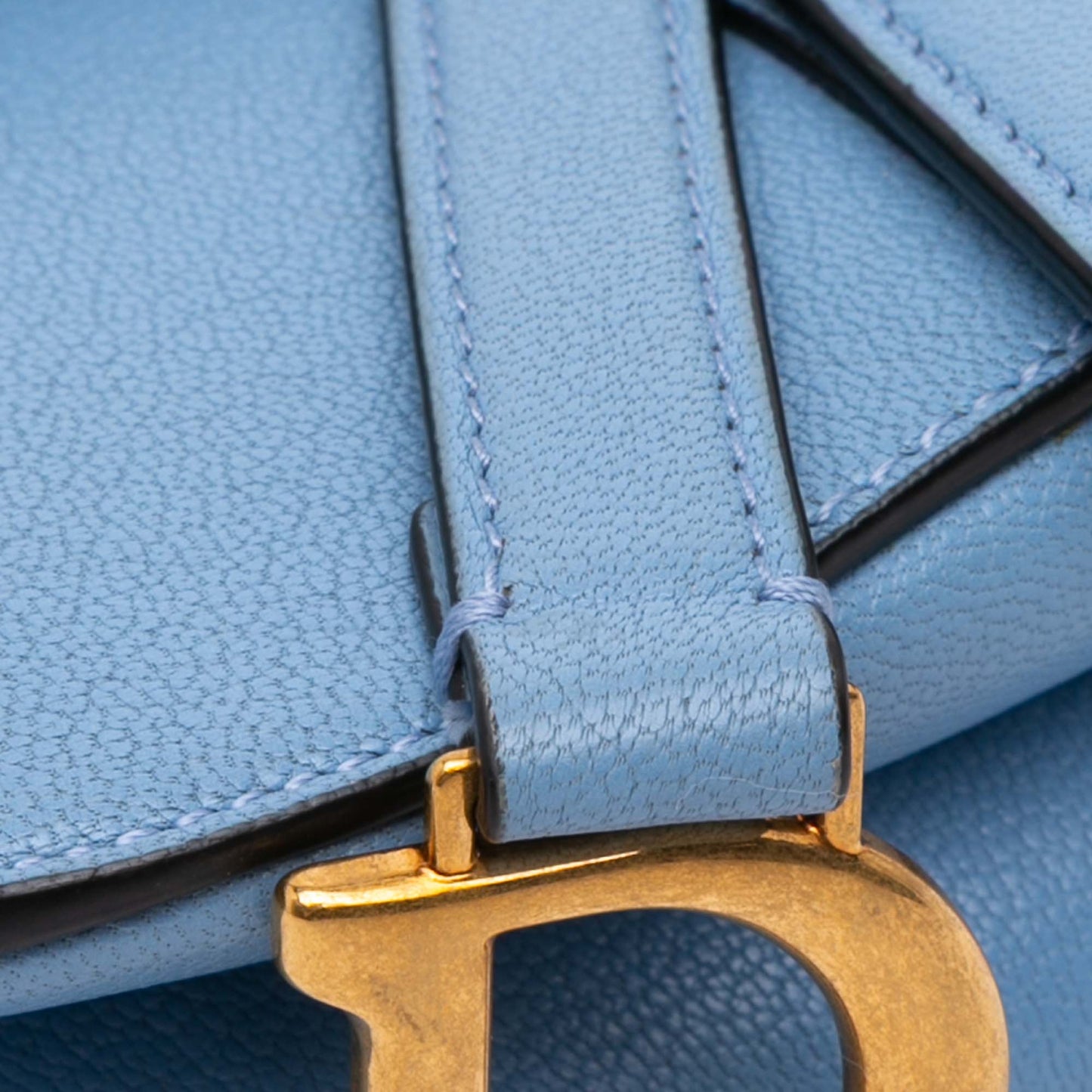 Dior Micro Goatskin Saddle