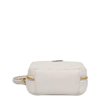 Chanel Cc Lambskin Round Handle Camera Case