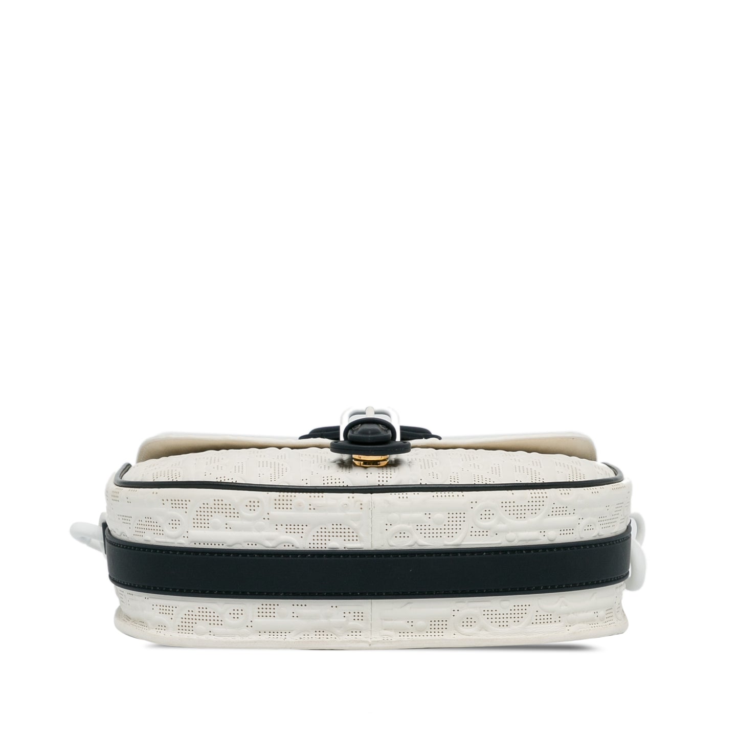 Dior Medium Perforated Calfskin Oblique Bobby Flap