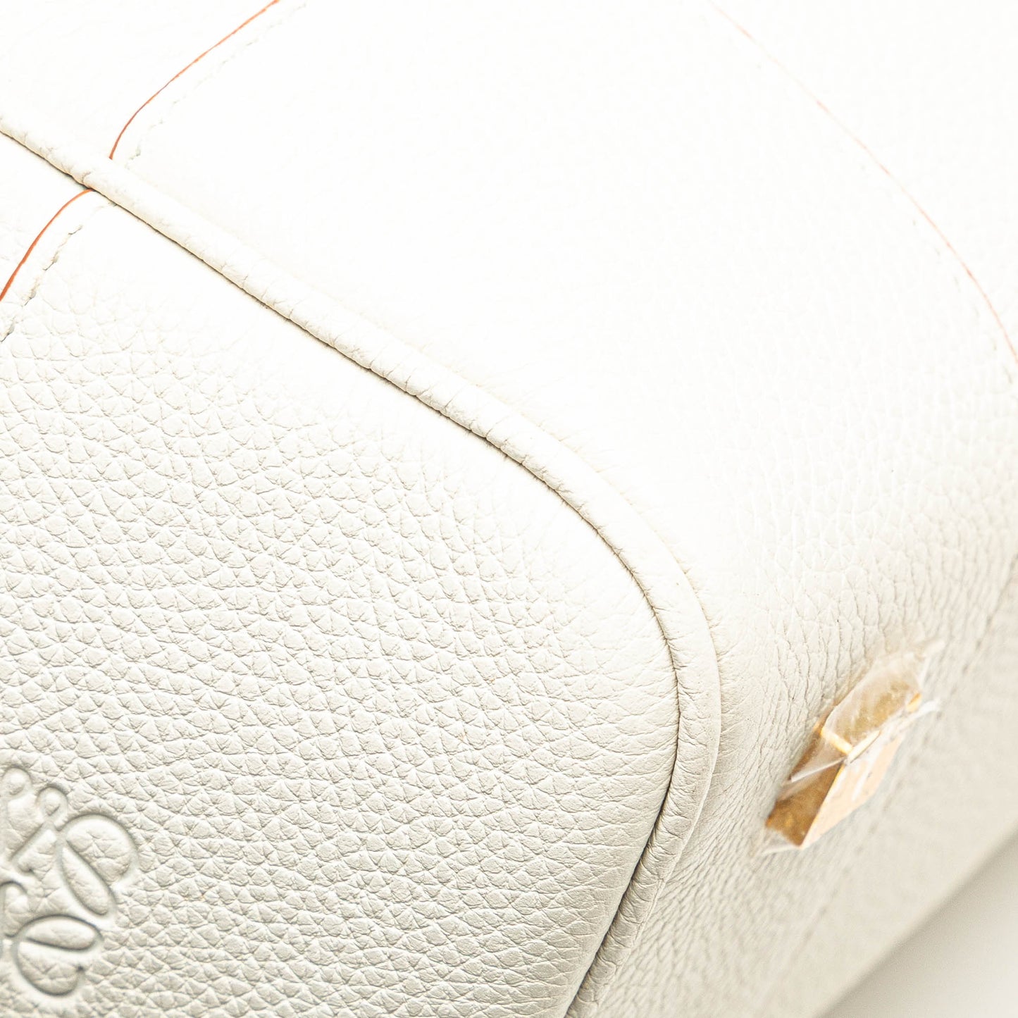 Loewe Leather Amazona Square 19