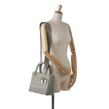 Dior Medium Canvas Cannage Lady D Lite