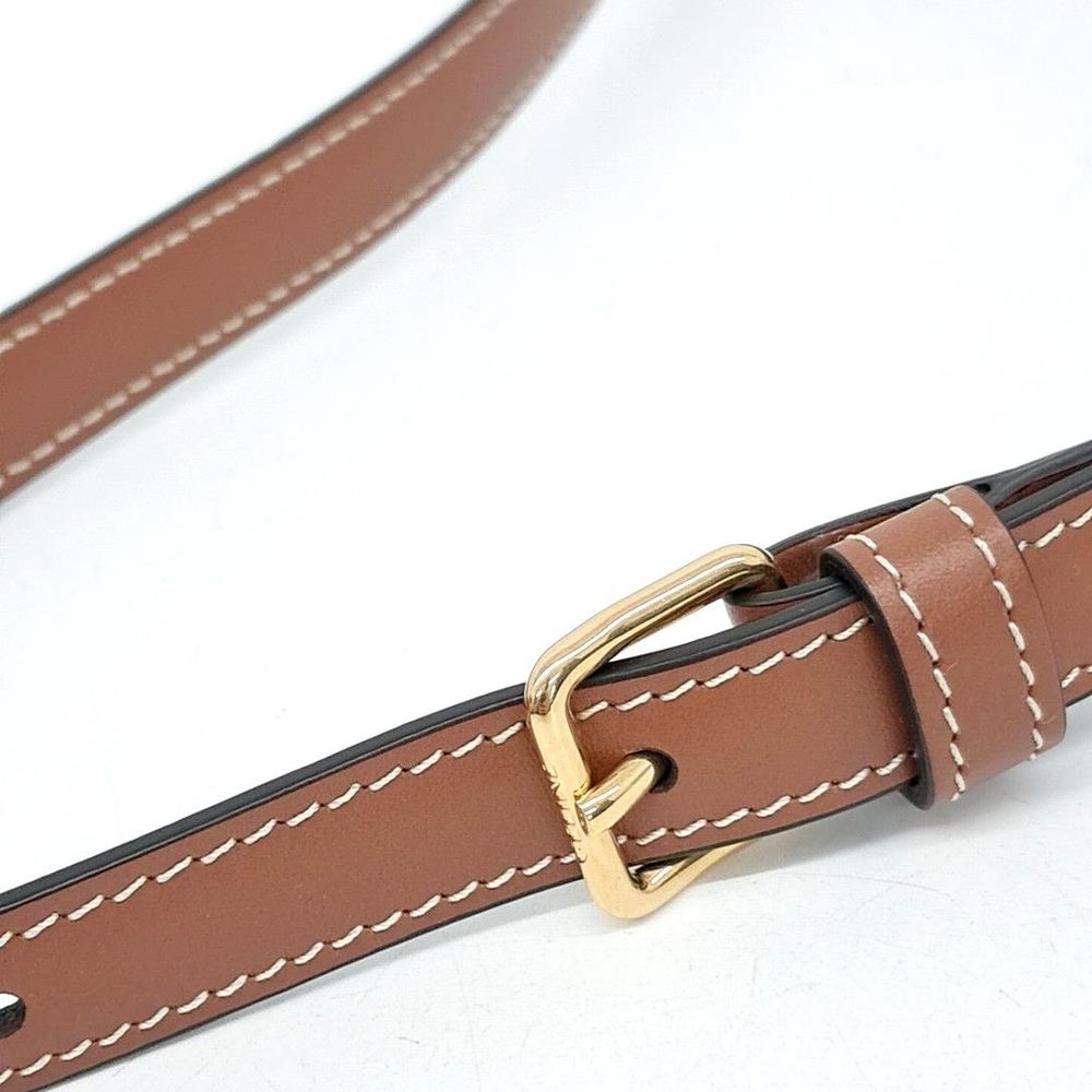 Celine Triumph Shoulder Bag (2612448)