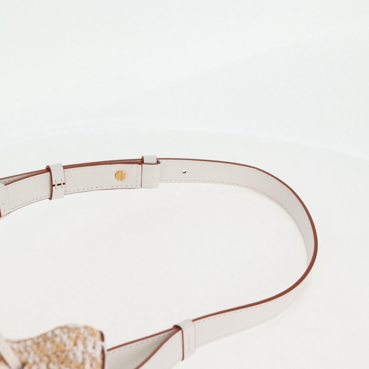 Loewe Sequin Balloon Shoulder Bag Raffia Beige Gold
