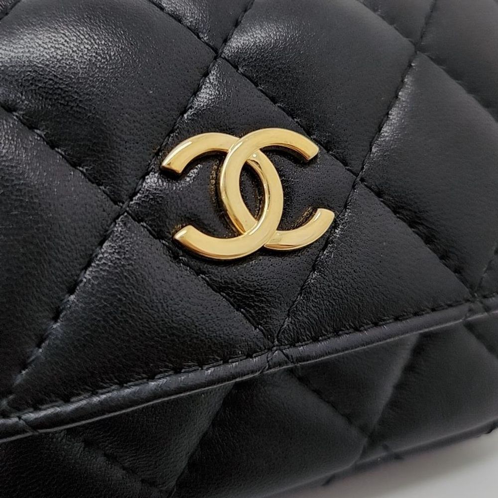 Chanel Ramskin Beltbag Ap2938 (7644897)