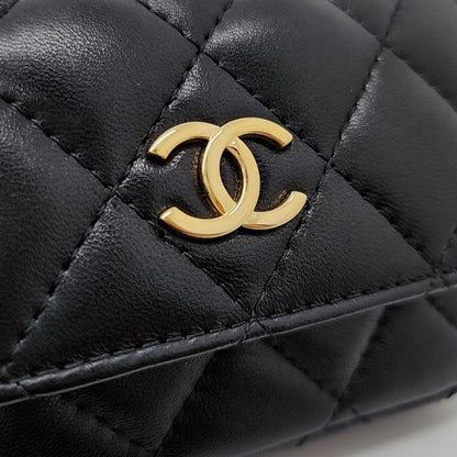 Chanel Ramskin Beltbag Ap2938 (7644897)