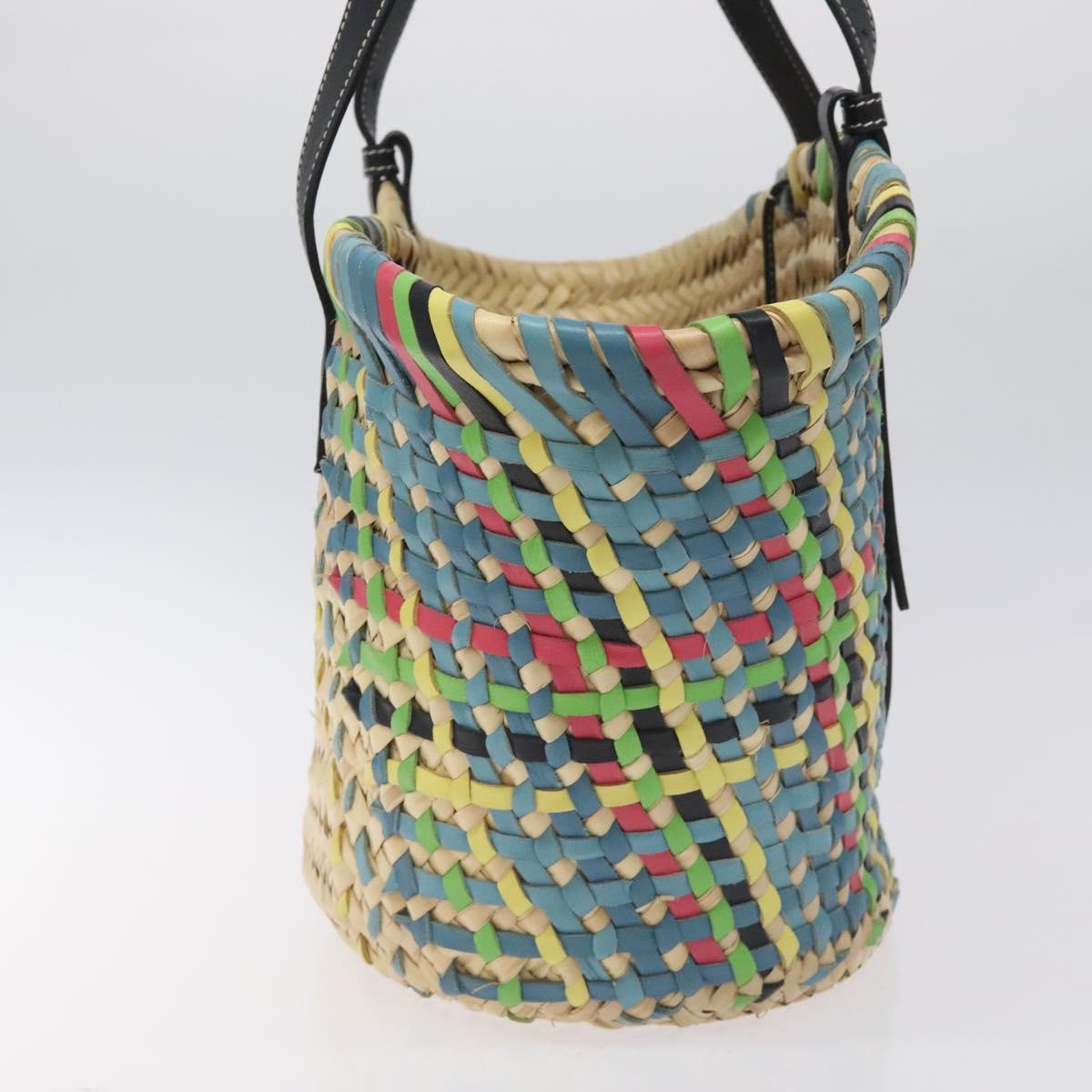 Loewe Basket Bag Large Anagram Bag Raffia Leather Beige Multicolor