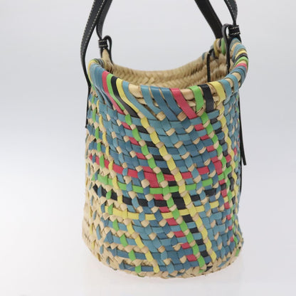 Loewe Basket Bag Large Anagram Bag Raffia Leather Beige Multicolor