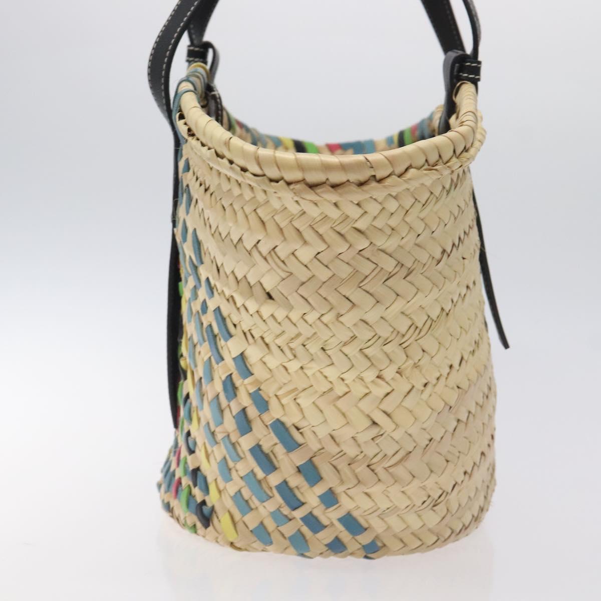 Loewe Basket Bag Large Anagram Bag Raffia Leather Beige Multicolor
