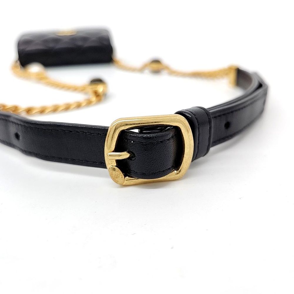 Chanel Ramskin Beltbag Ap2938 (7644897)