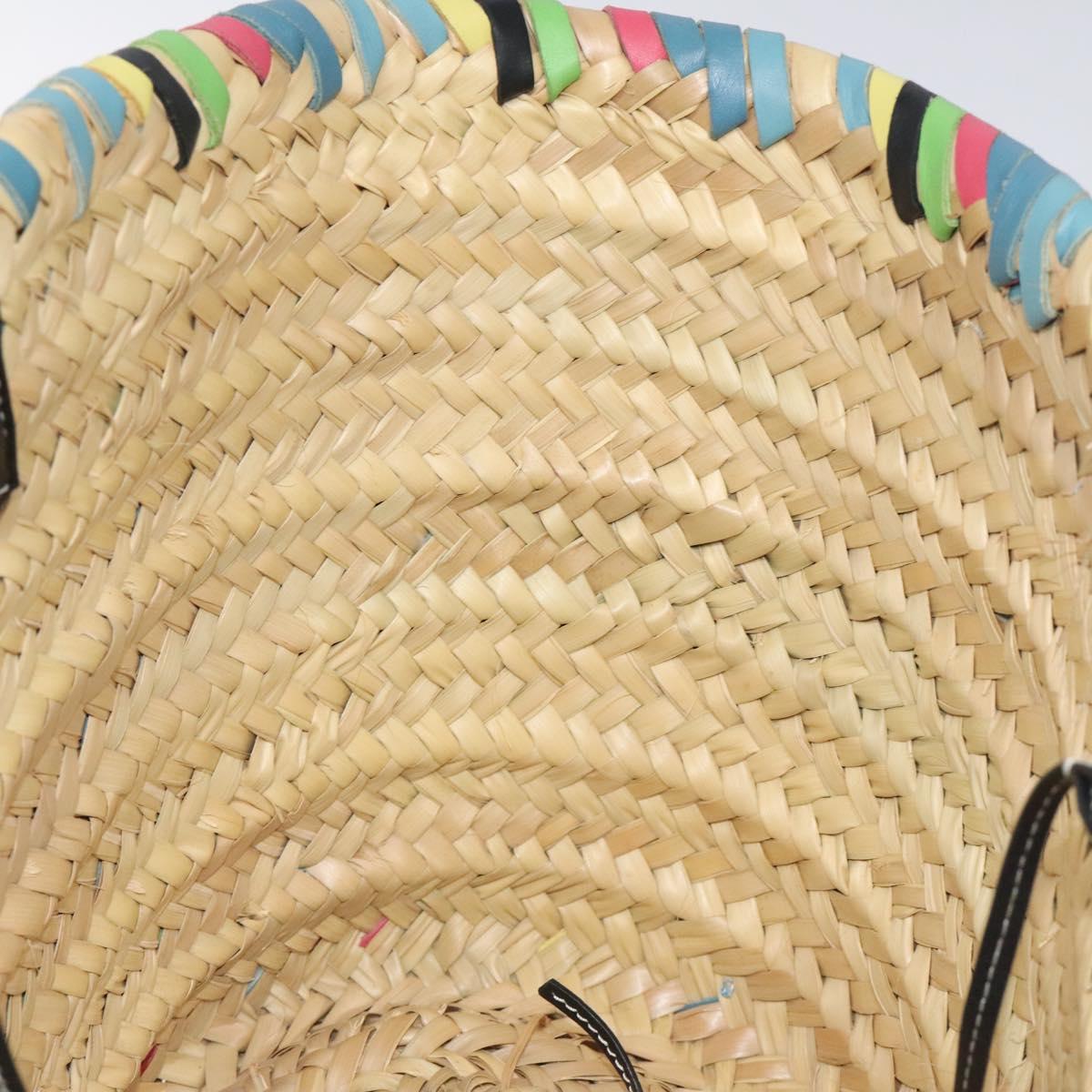 Loewe Basket Bag Large Anagram Bag Raffia Leather Beige Multicolor