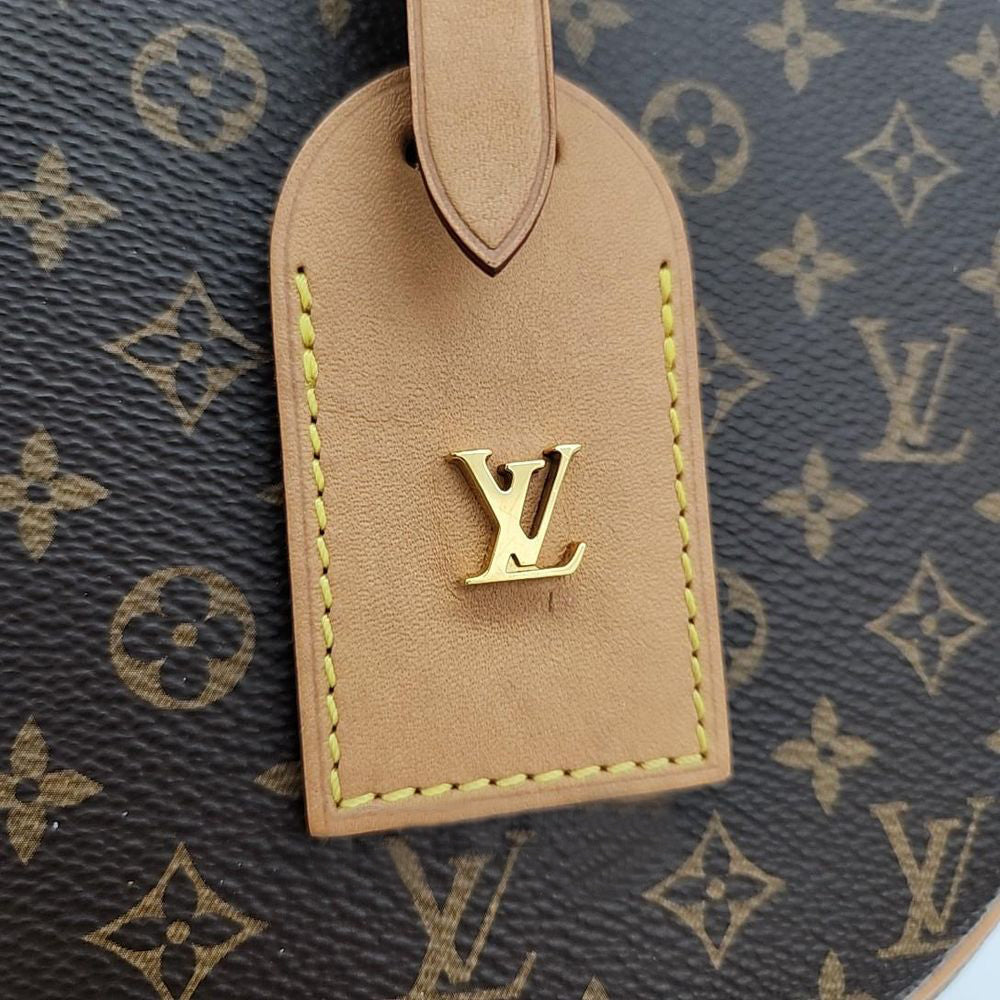 Louis Vuitton Monogram Pochette Félicie Charm (2002219)