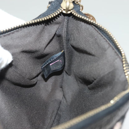 Fendi Accessory Pouch Sequin Pink Gold