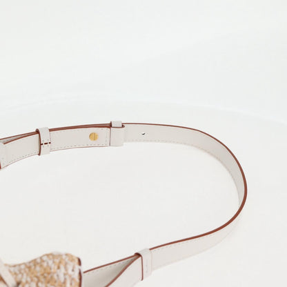 Loewe Sequin Balloon Shoulder Bag Raffia Beige Gold