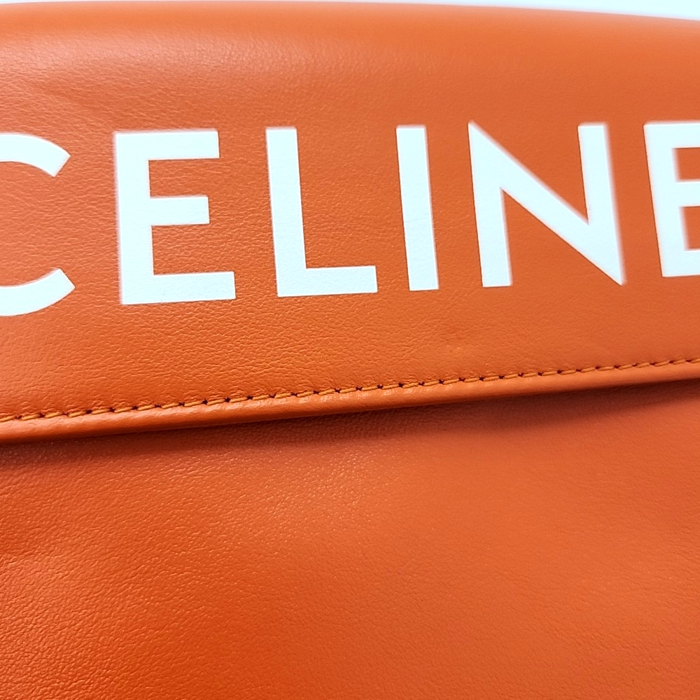 Celine Triangle Bag (10000131)
