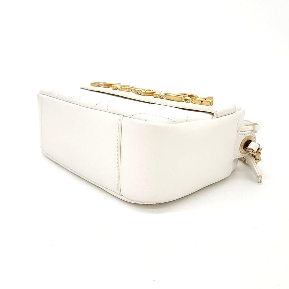 Chanel Camera Bag (1766130)