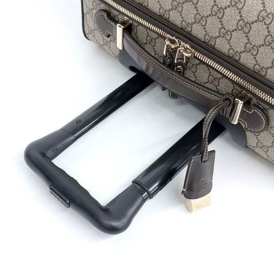 Gucci Carrier (293909) (10220509)