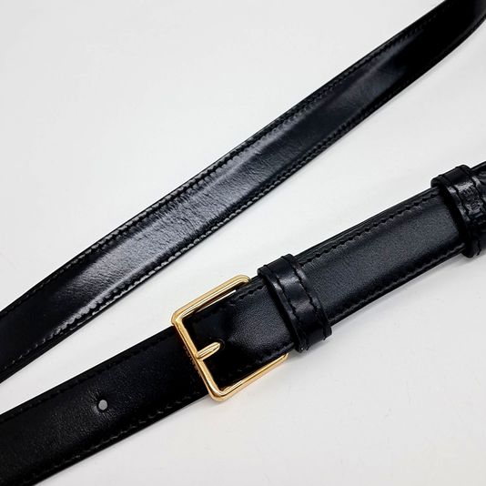 Celine Triumph Bag Medium (10263208)