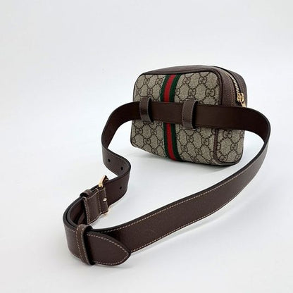 Gucci Ophidia GG Supreme Belt Bag (517076) (10266396)