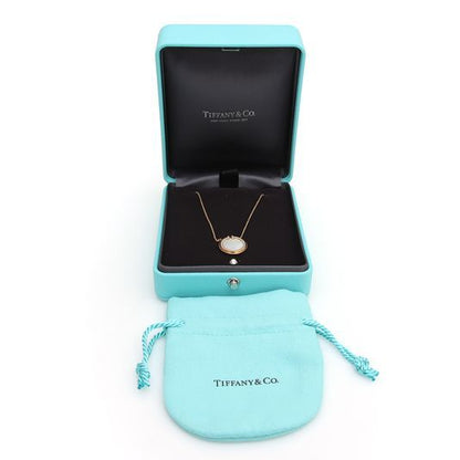 Tiffany Diamond T Circle Necklace (3130144)