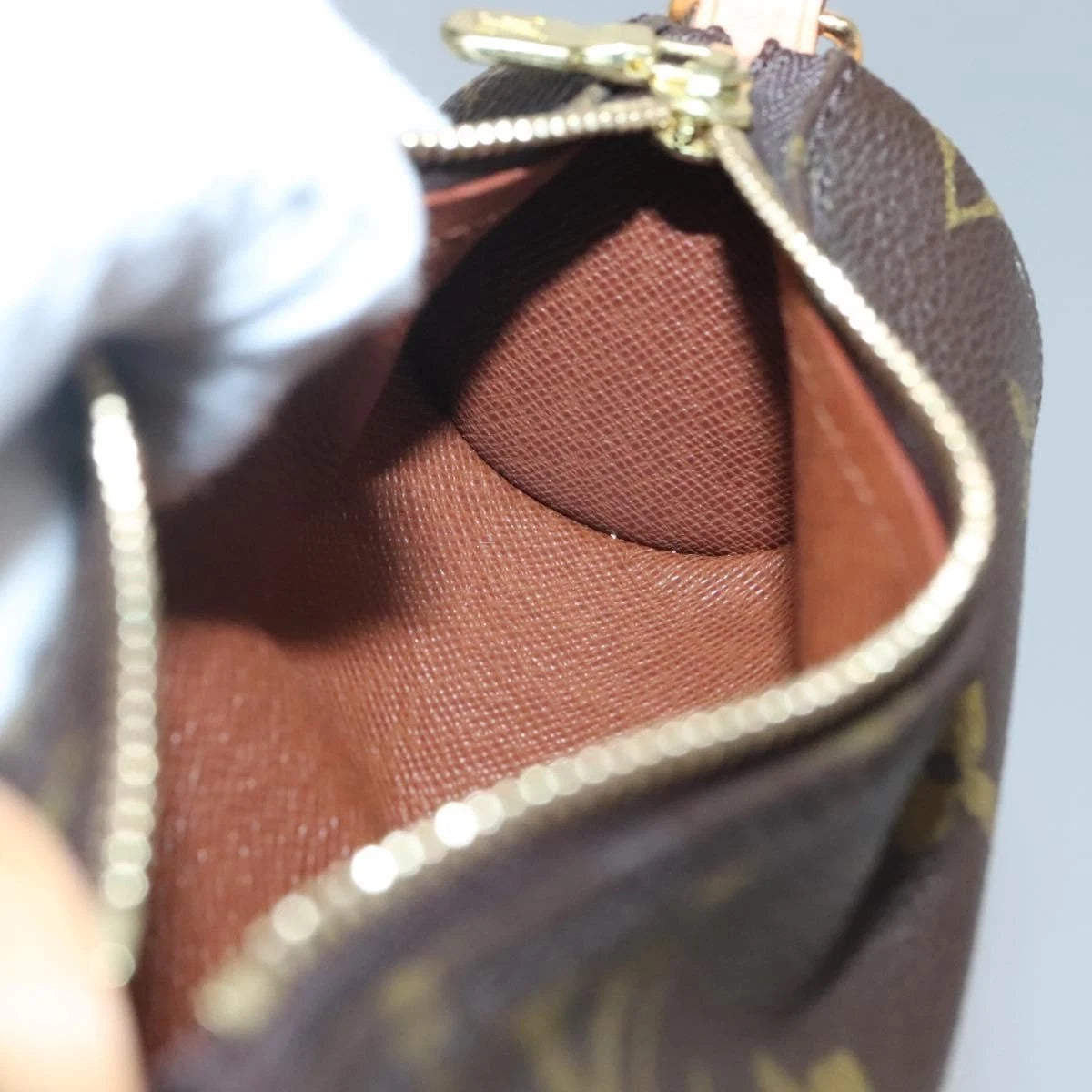 Louis Vuitton Monogram Papillon Pouch